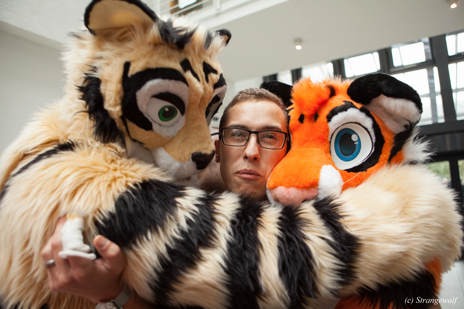 full image IMG_5343-lr19t.jpg