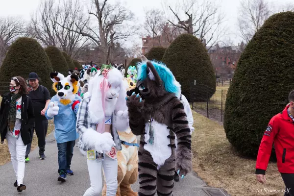 IMG_3113-lr19t.jpg of ANE/ANE2022/Suitwalk/