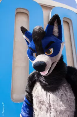 IMG_2758-lr.jpg of BLFC/2019/Fotoshoot-Slate/