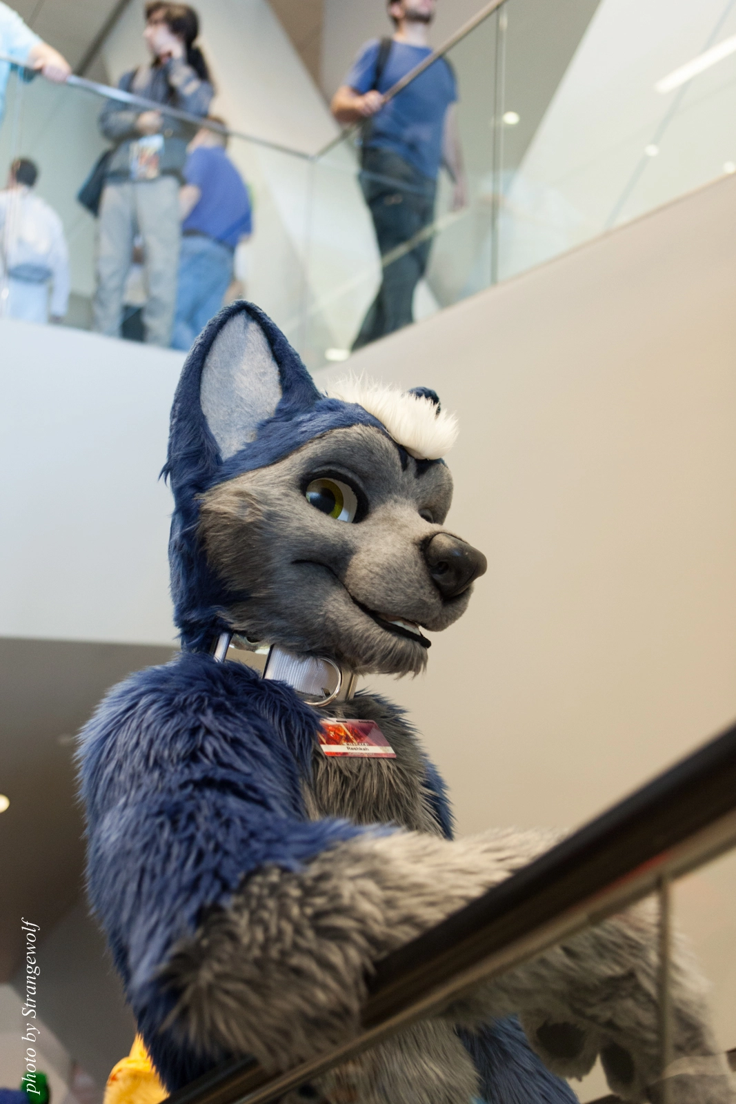 full image IMG_8094-lr16t.jpg
