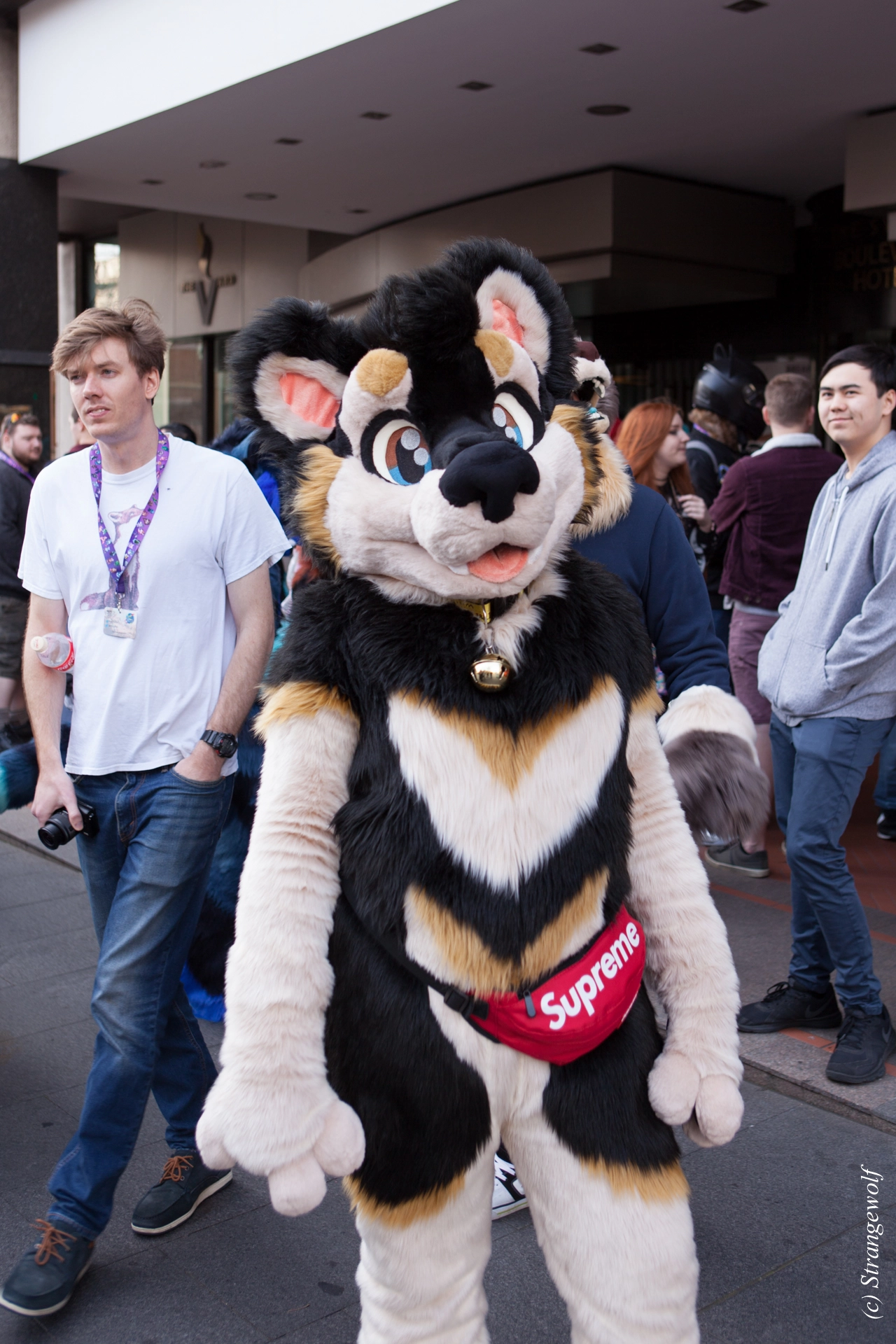 full image IMG_4558-lr19t.jpg