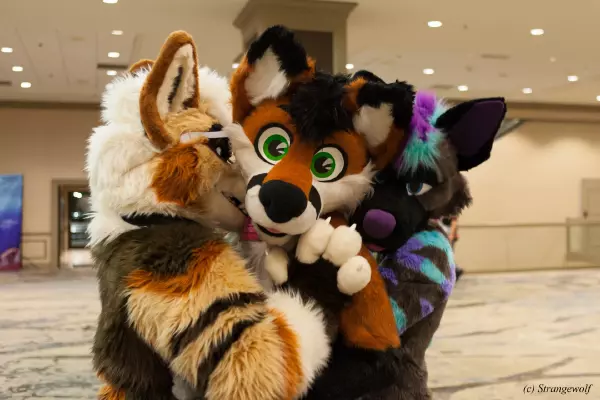 IMG_4047-lr19t.jpg of TFF/TFF2022/