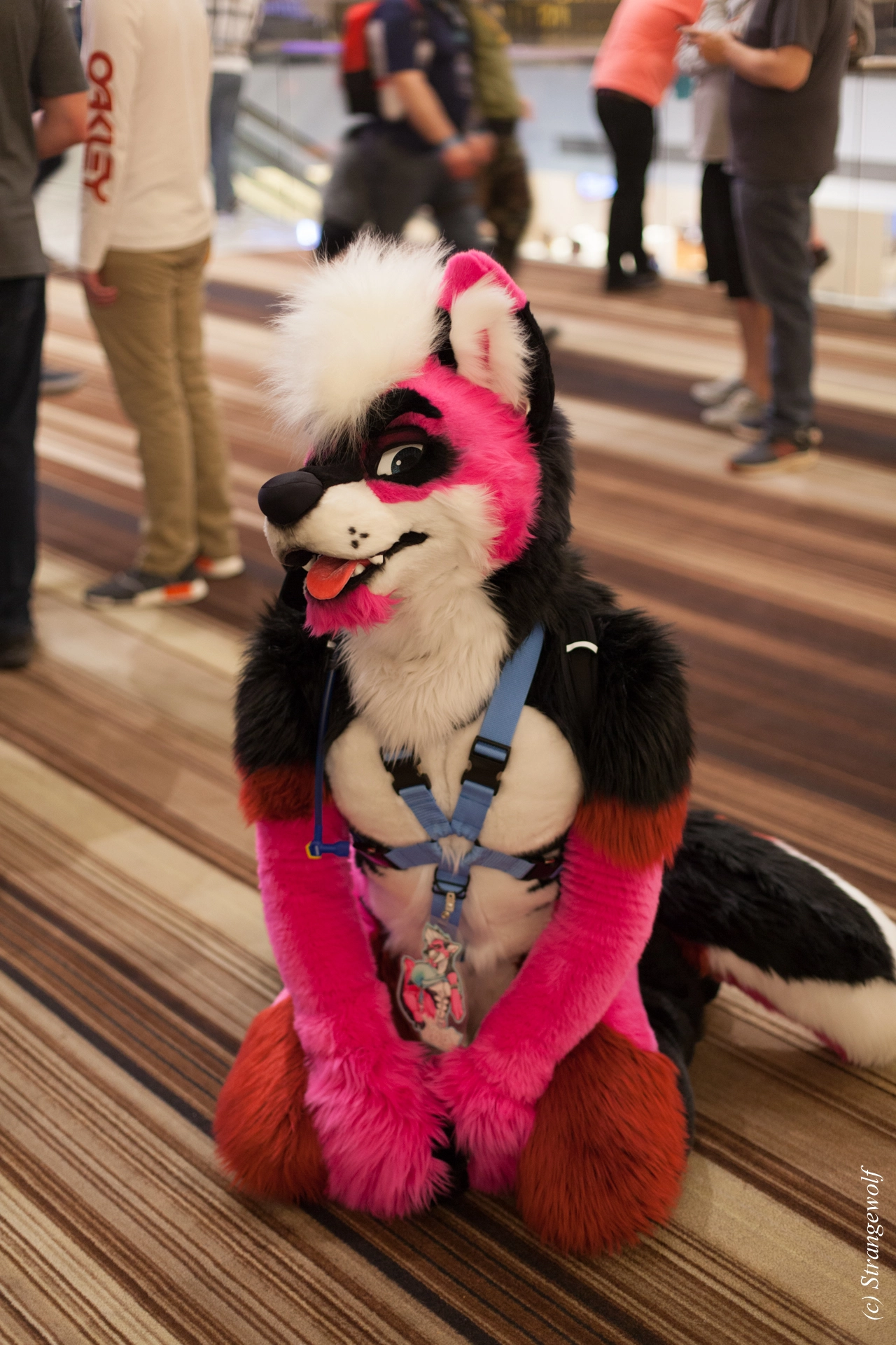 full image IMG_1403-lr19t.jpg