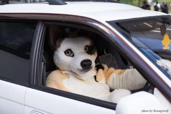 IMG_6816-lr19t.jpg of EF/EF23/MotorFurs/