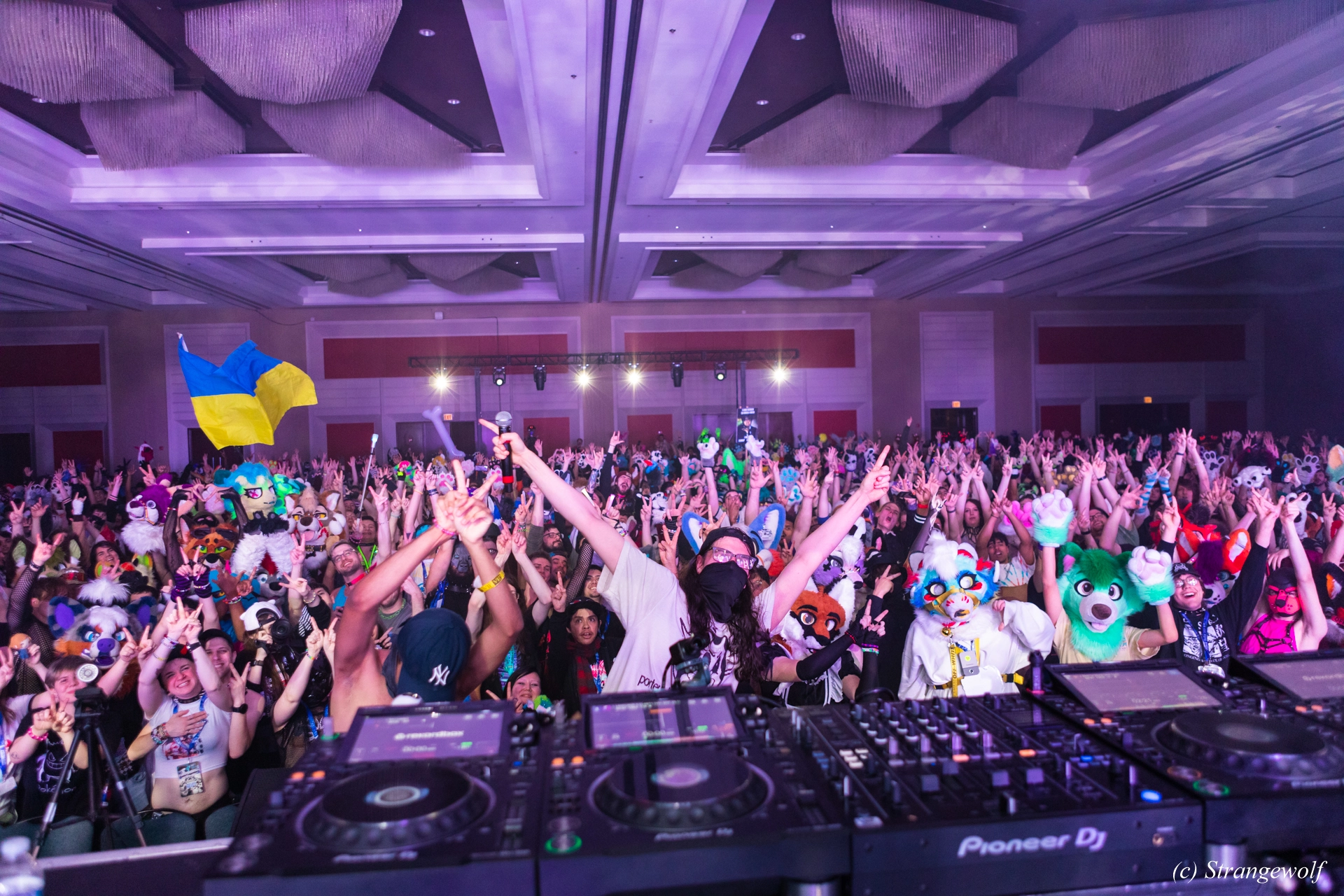 full image 1R3A5033-lr19t.jpg