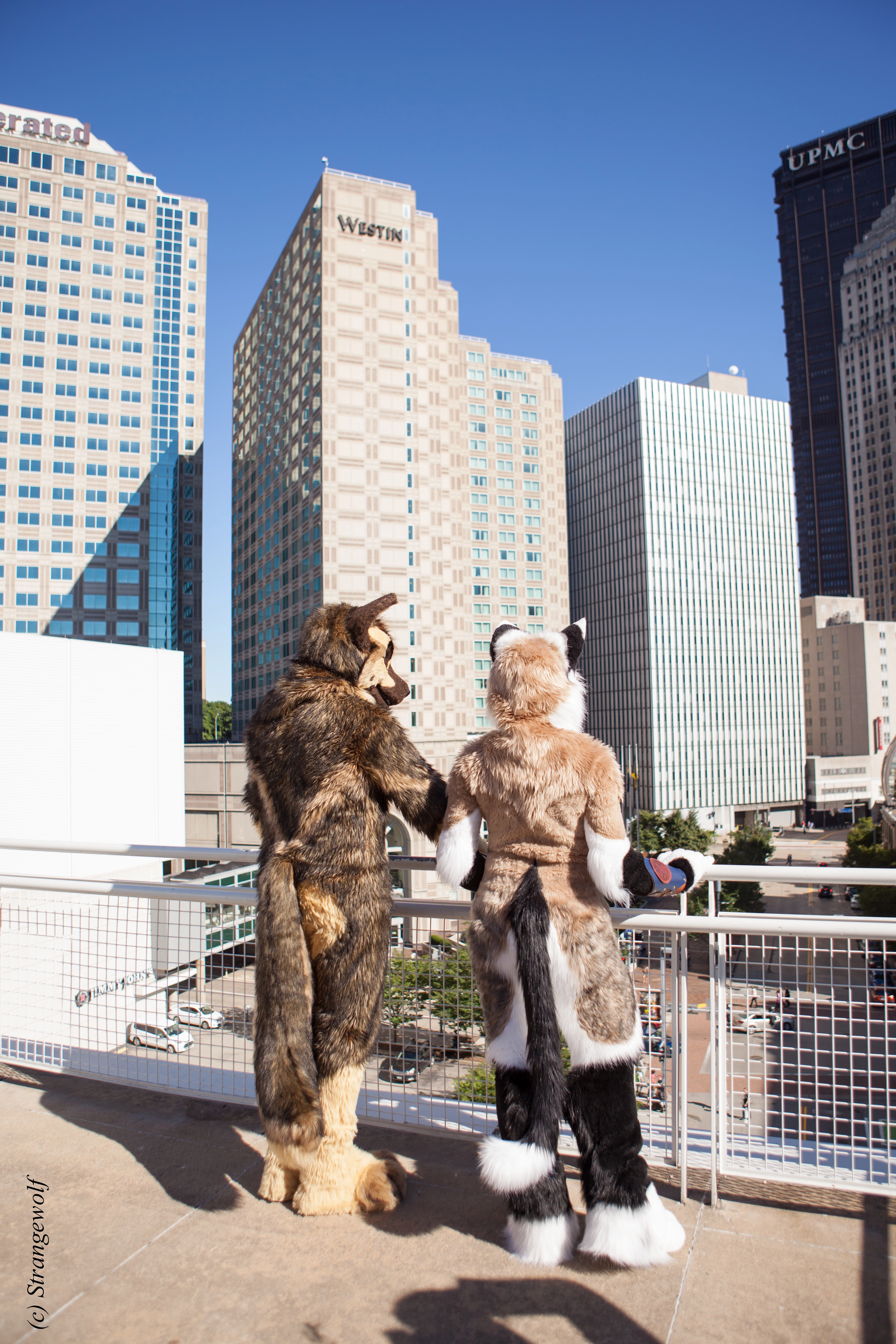 full image IMG_4210-lr.jpg