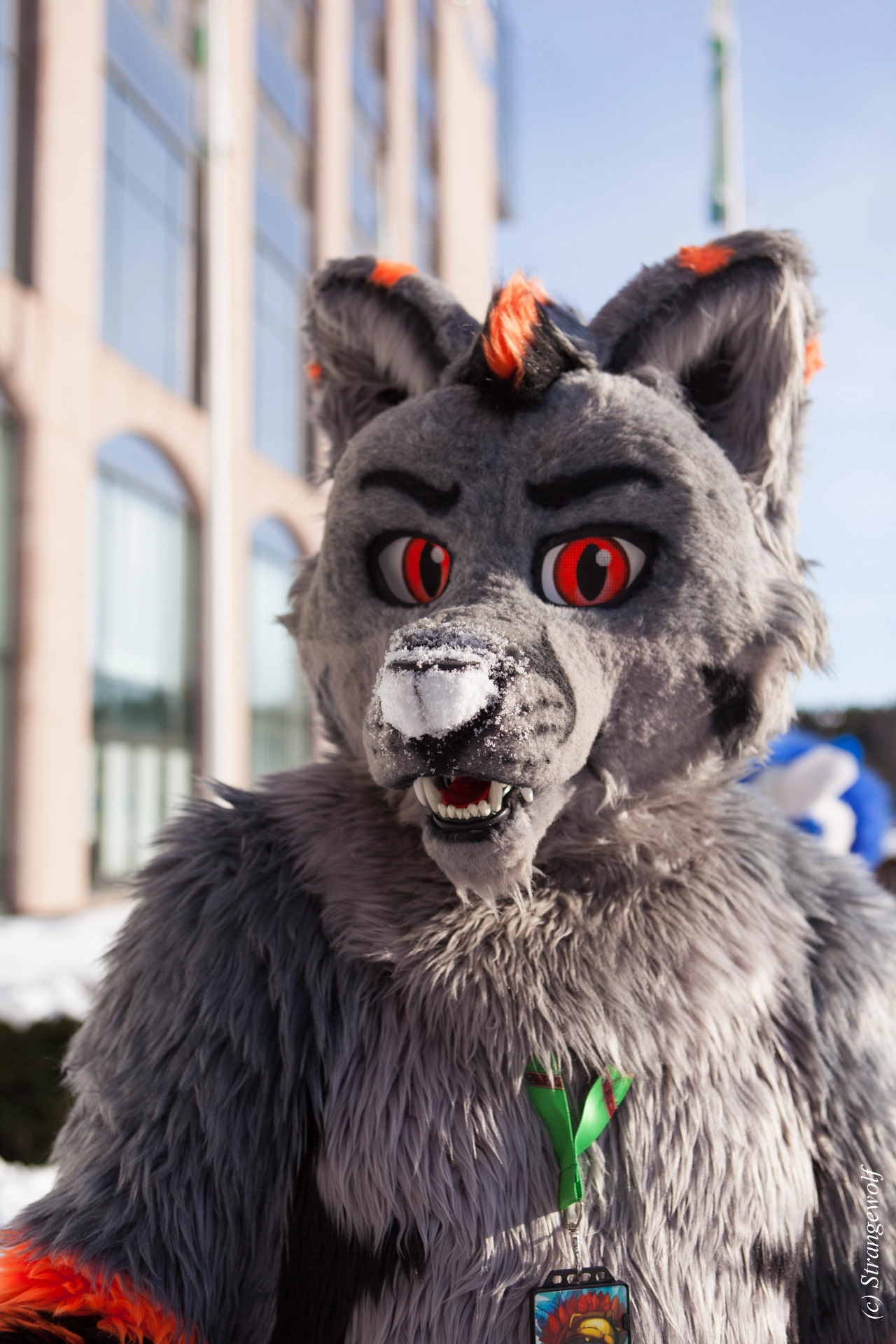 full image IMG_9815-lr19t.jpg