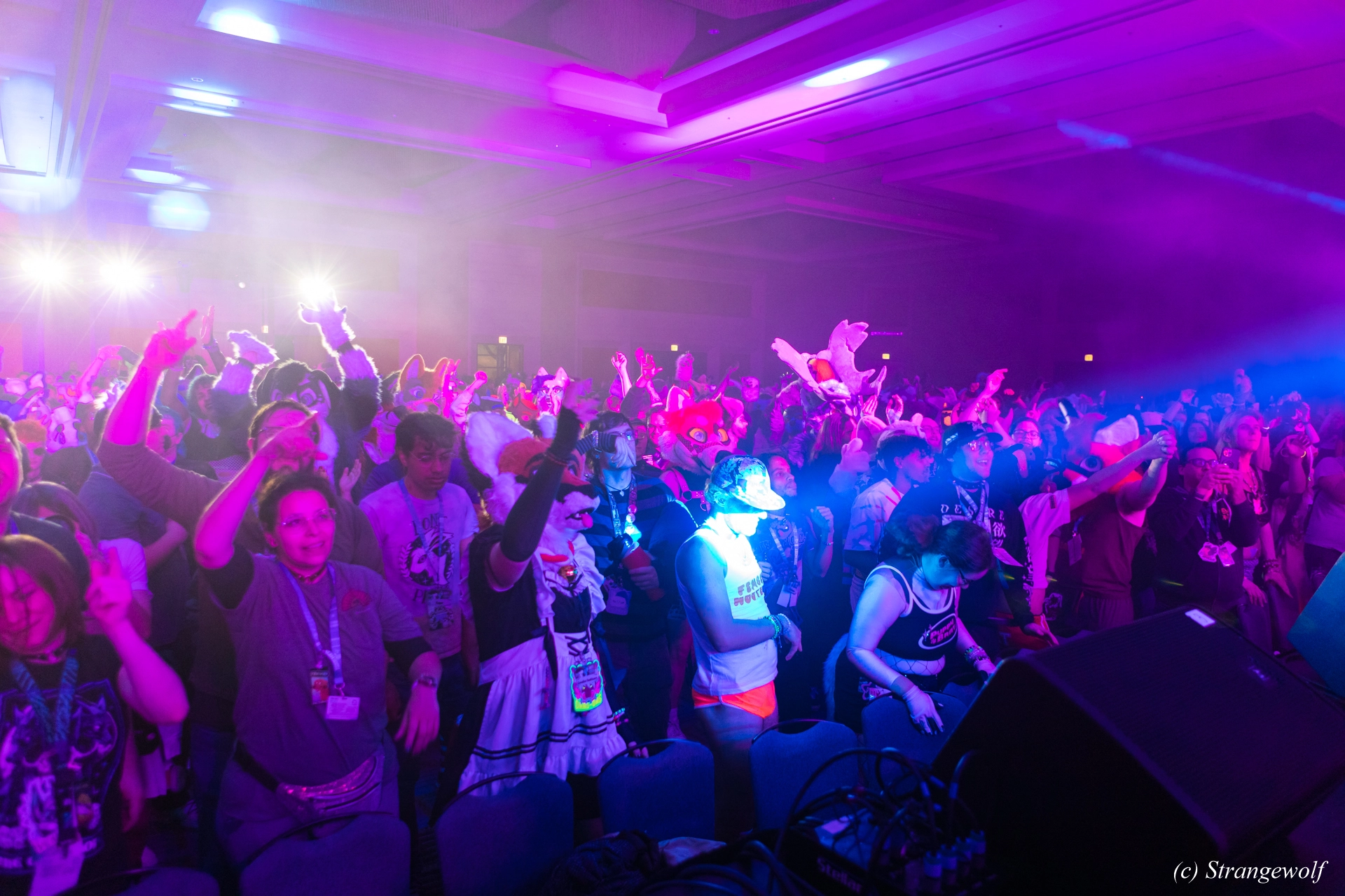 full image 1R3A5346-lr19t.jpg