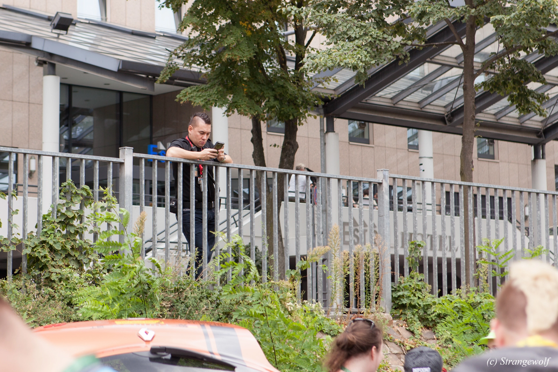 full image IMG_5262-lr19t.jpg