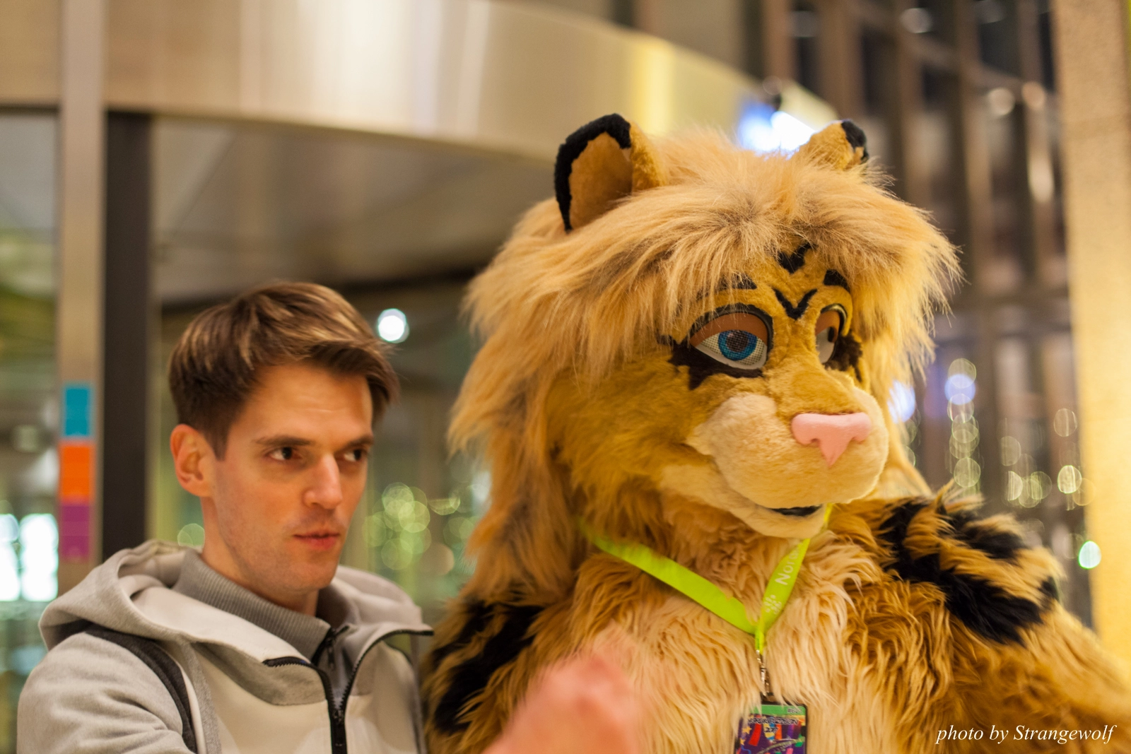 full image IMG_1518-lr16t.jpg