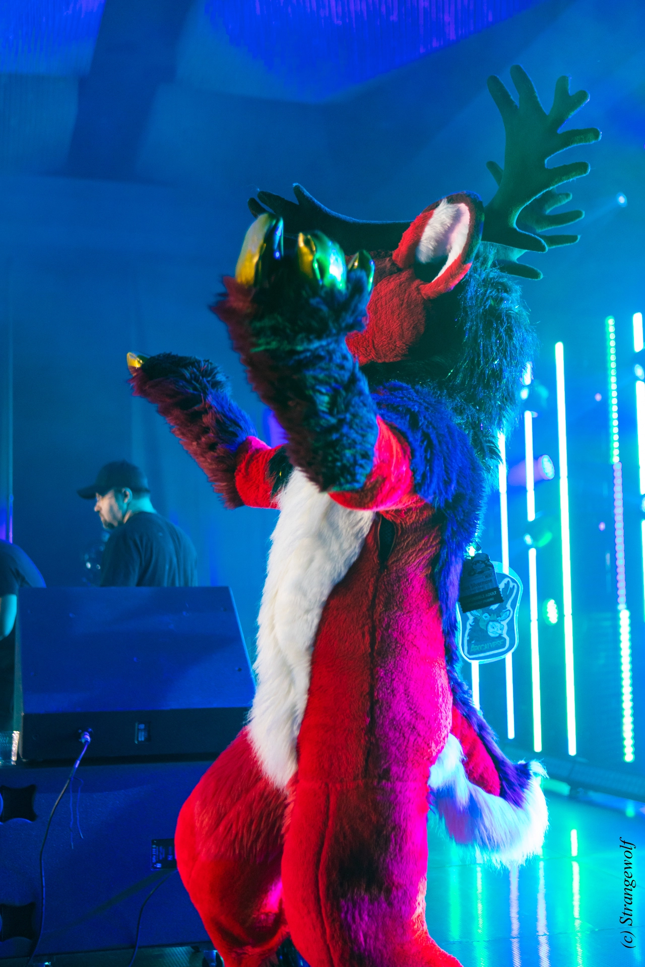 full image 1R3A5117-lr19t.jpg