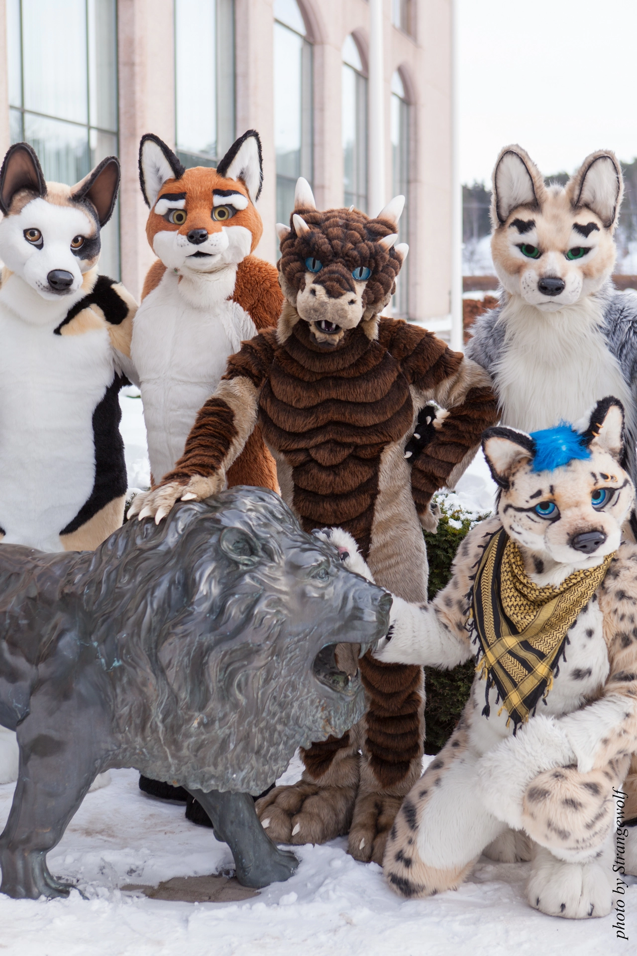 full image IMG_0298-lr19t.jpg