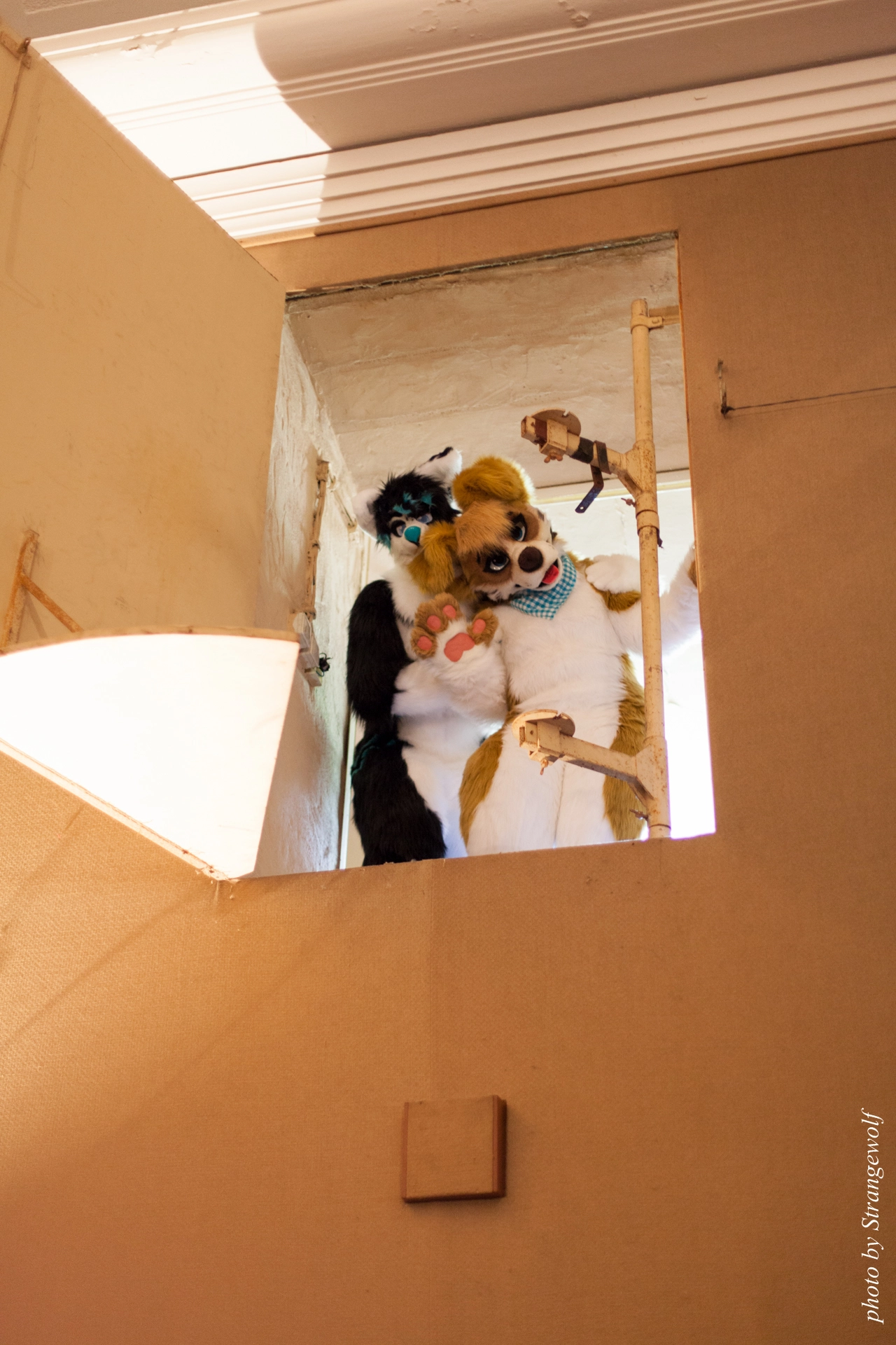 full image IMG_5910-lr19t.jpg