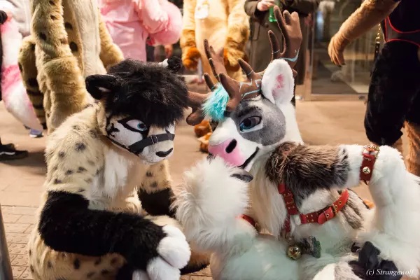 IMG_6886-lr19t.jpg of MFF/MFF2018/