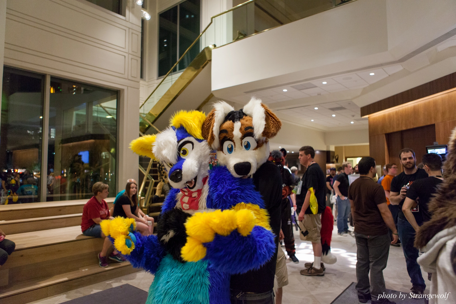 full image IMG_9844-lr19t.jpg