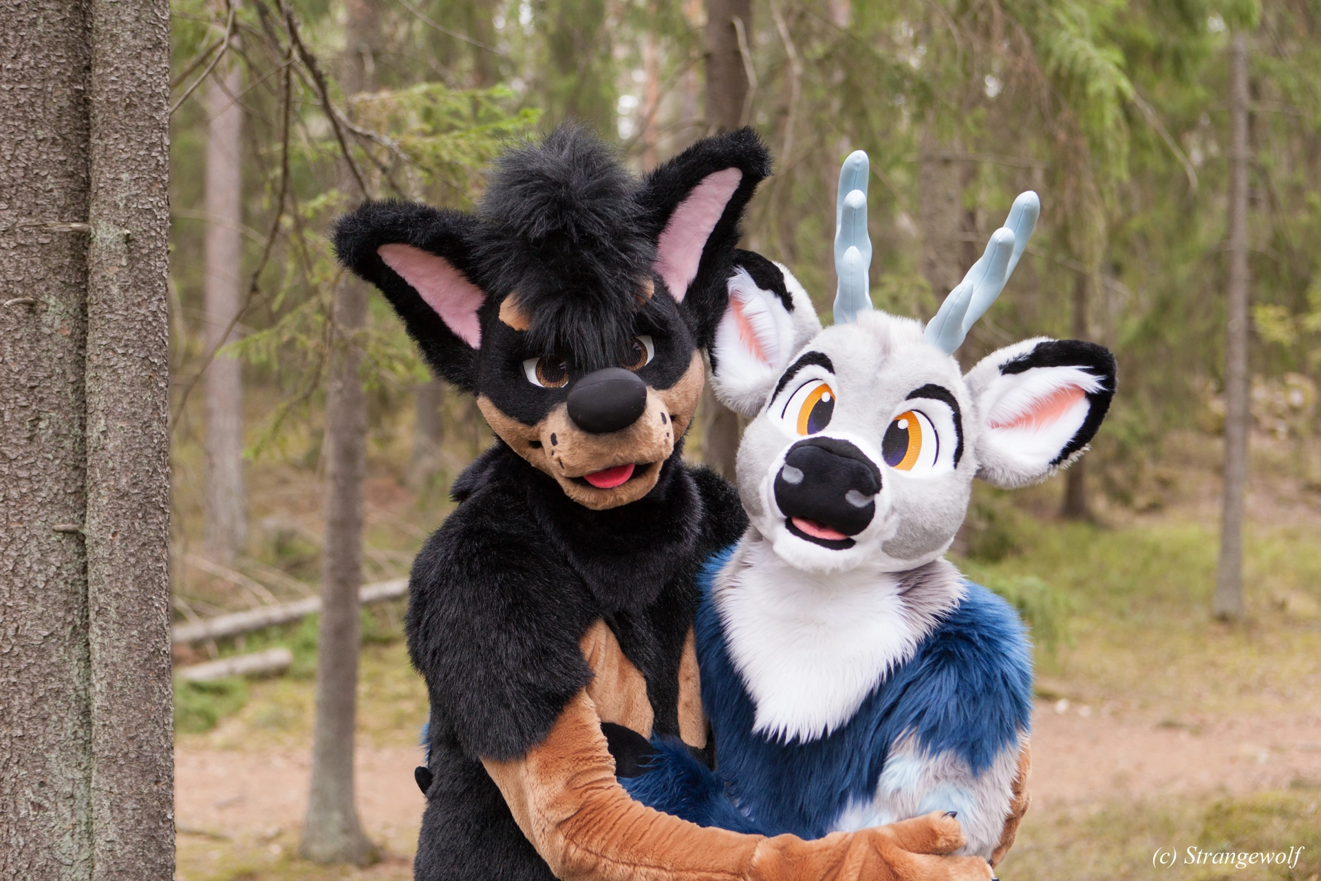 full image IMG_8555-lr19t.jpg