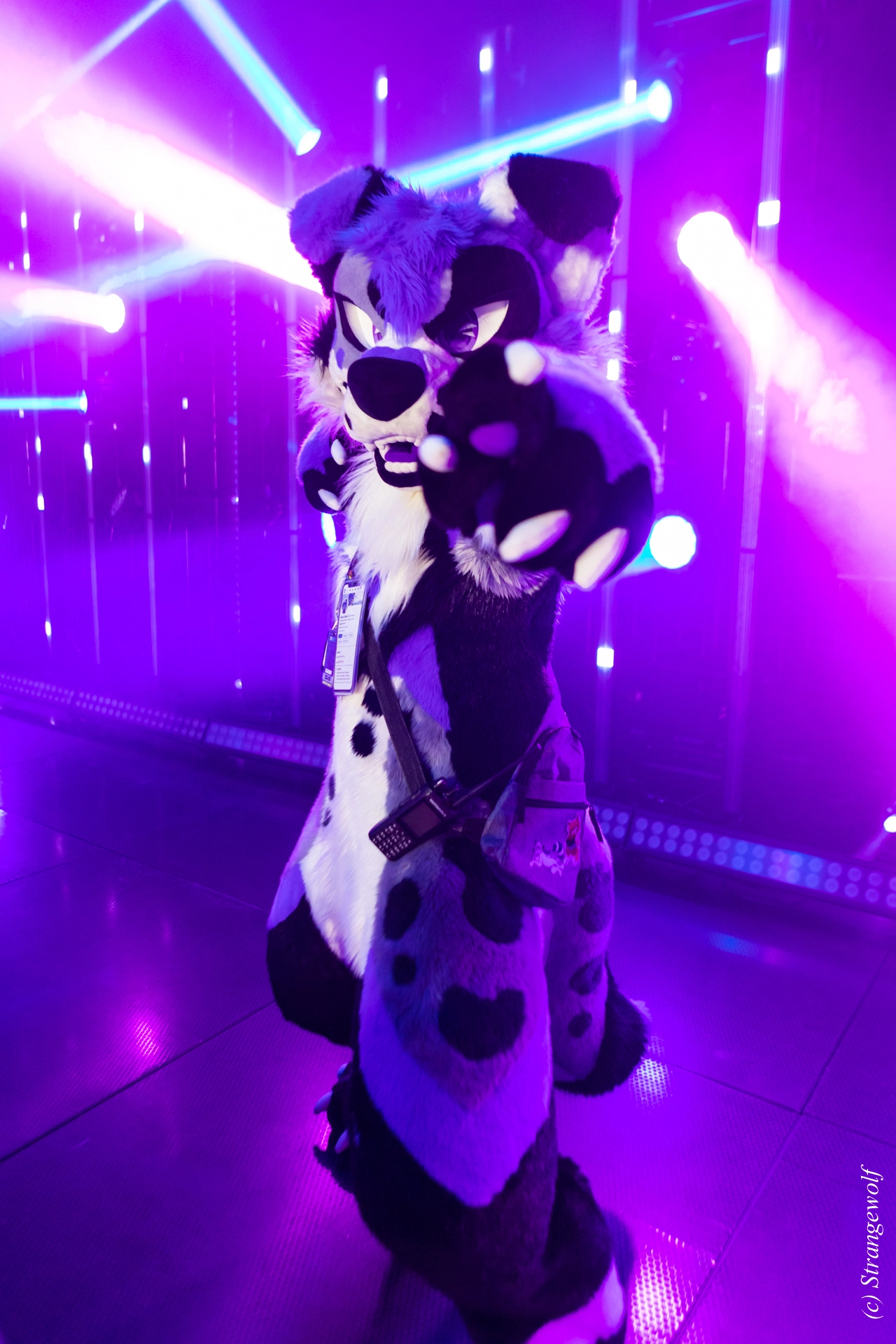 full image 1R3A5356-lr19t.jpg