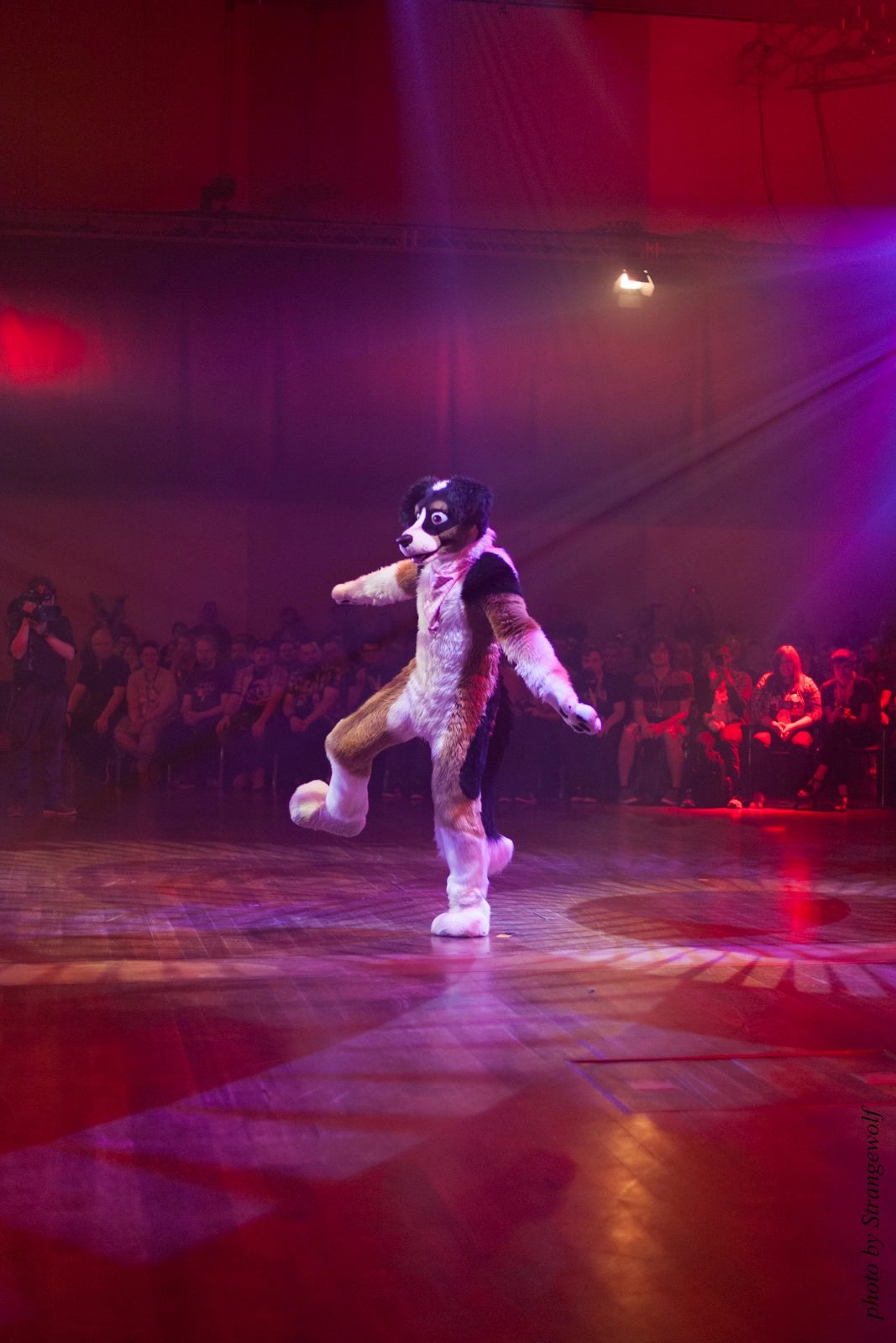 full image IMG_2522-lr16t.jpg