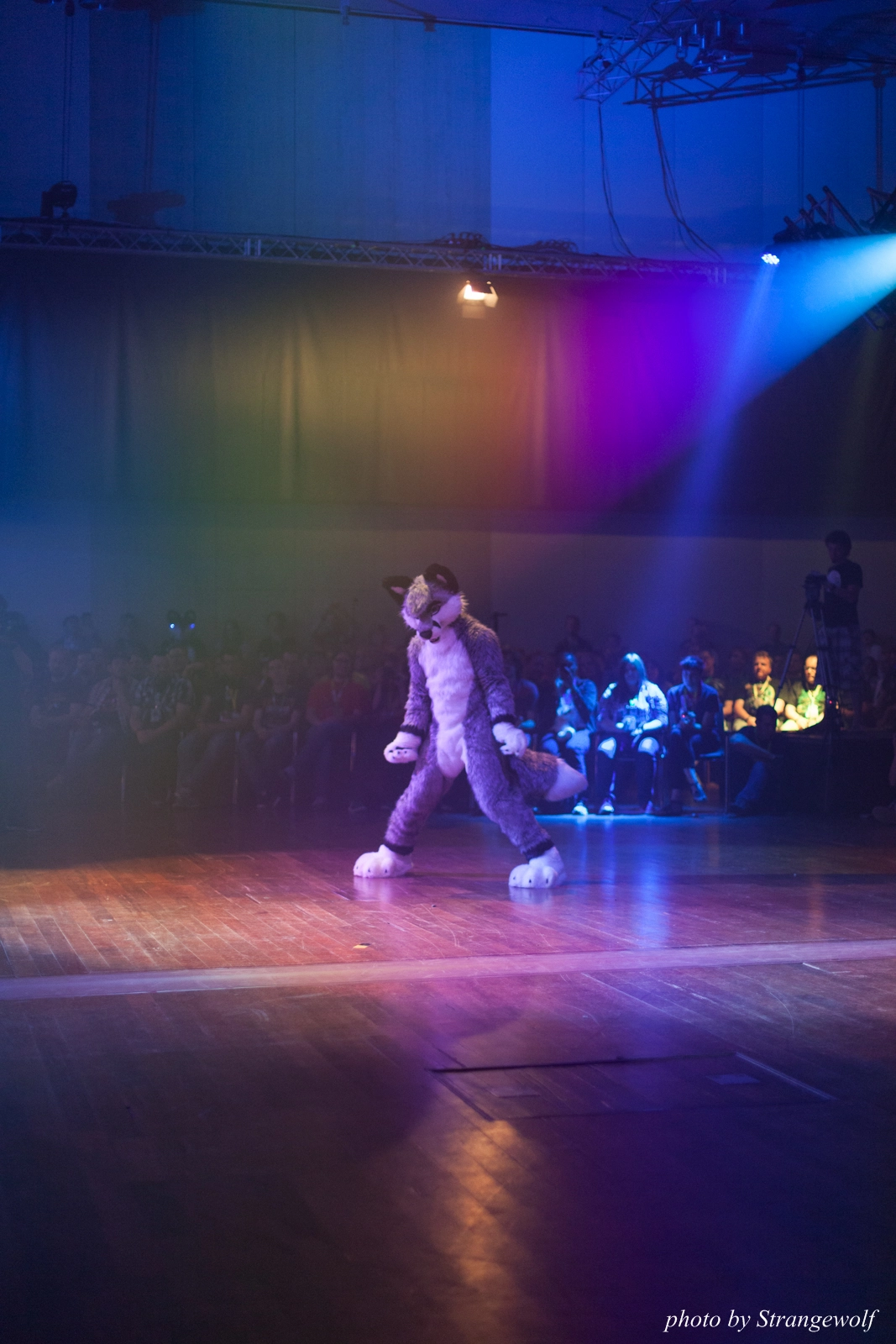 full image IMG_2919-lr16t.jpg