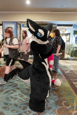 1R3A3131-lr19t.jpg of BLFC/BLFC2023/