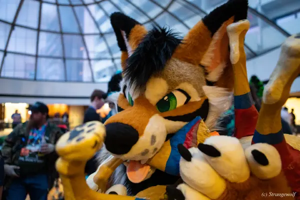 1R3A0247-lr19t.jpg of MFF/MFF2025/