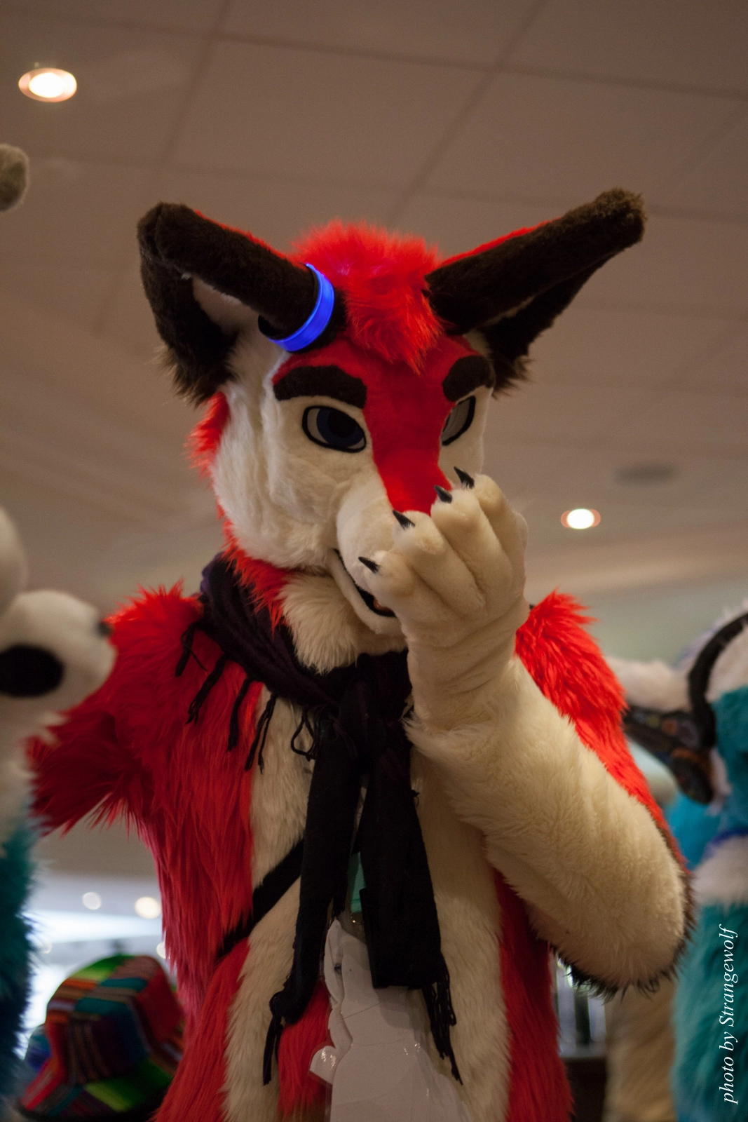 full image IMG_7400-lr16t.jpg