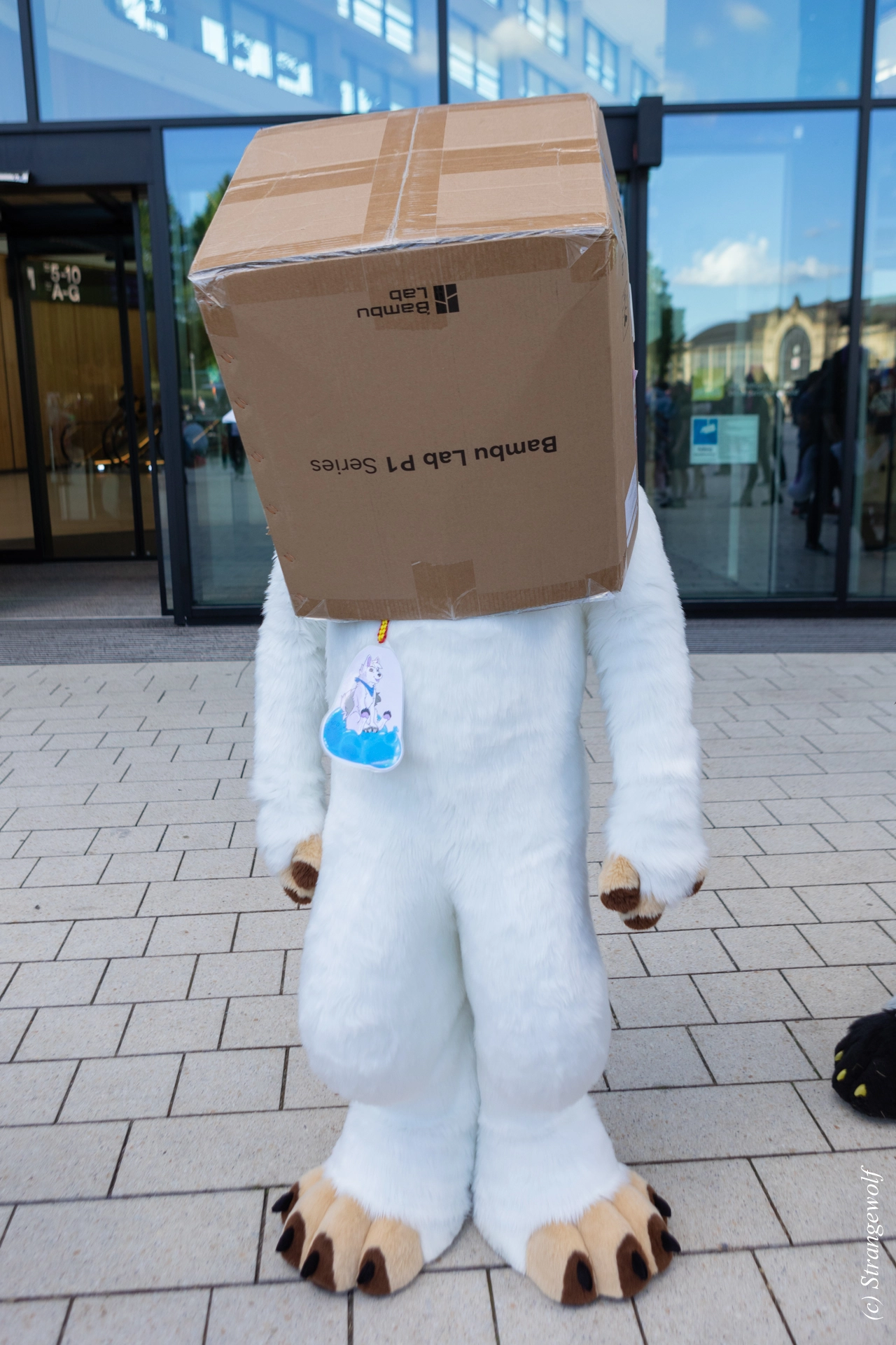 full image 1R3A9279-lr19t.jpg