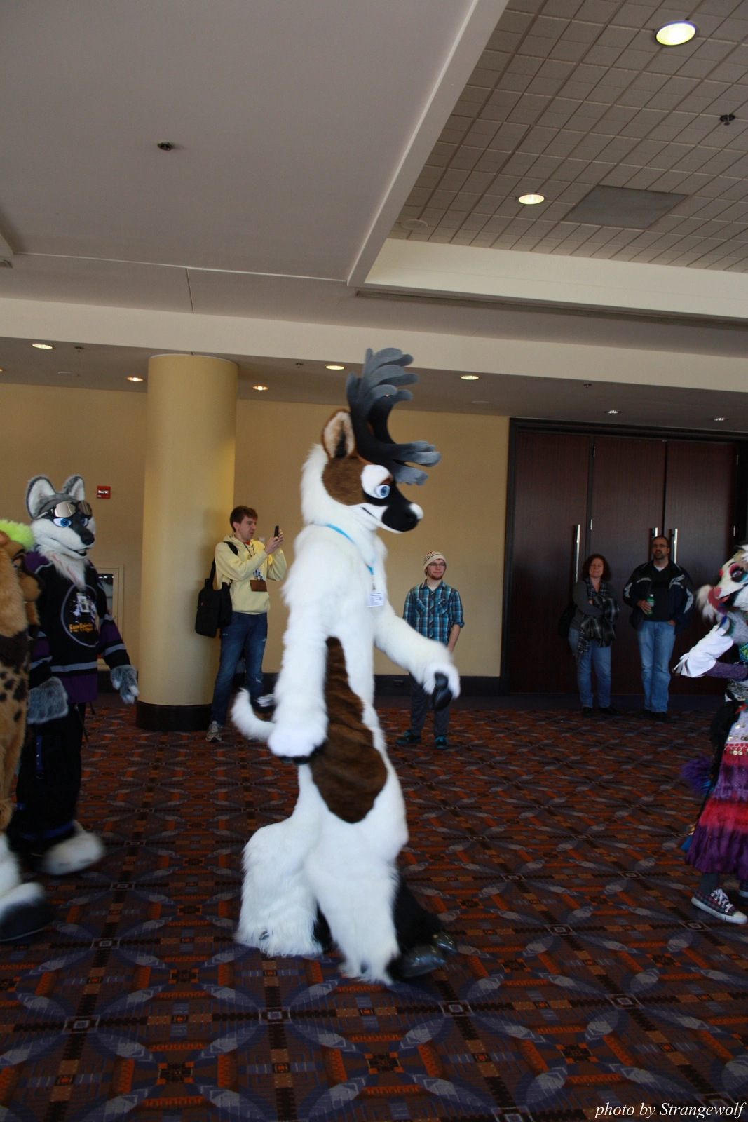 full image IMG_0550-lr.jpg