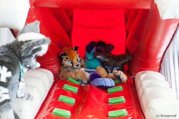 IMG_8838-lr19t.jpg of NFC/NFC2019/