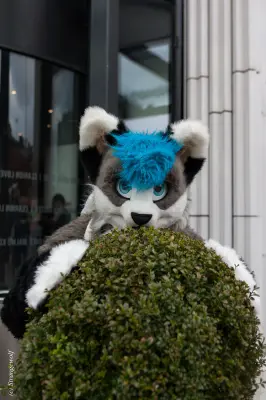 IMG_8377-lr19t.jpg of NFC/NFC2020/