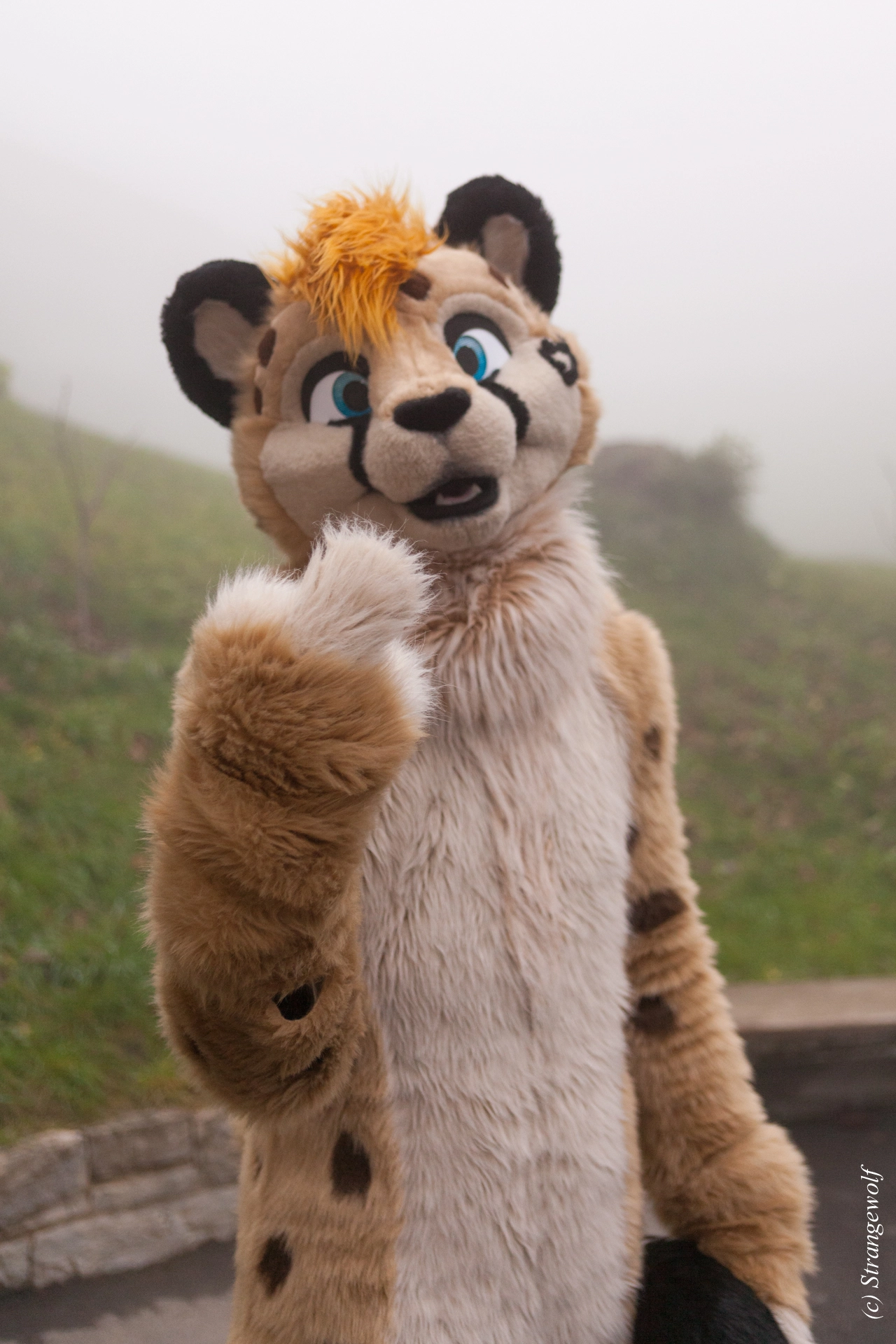 full image IMG_6991-lr19t.jpg