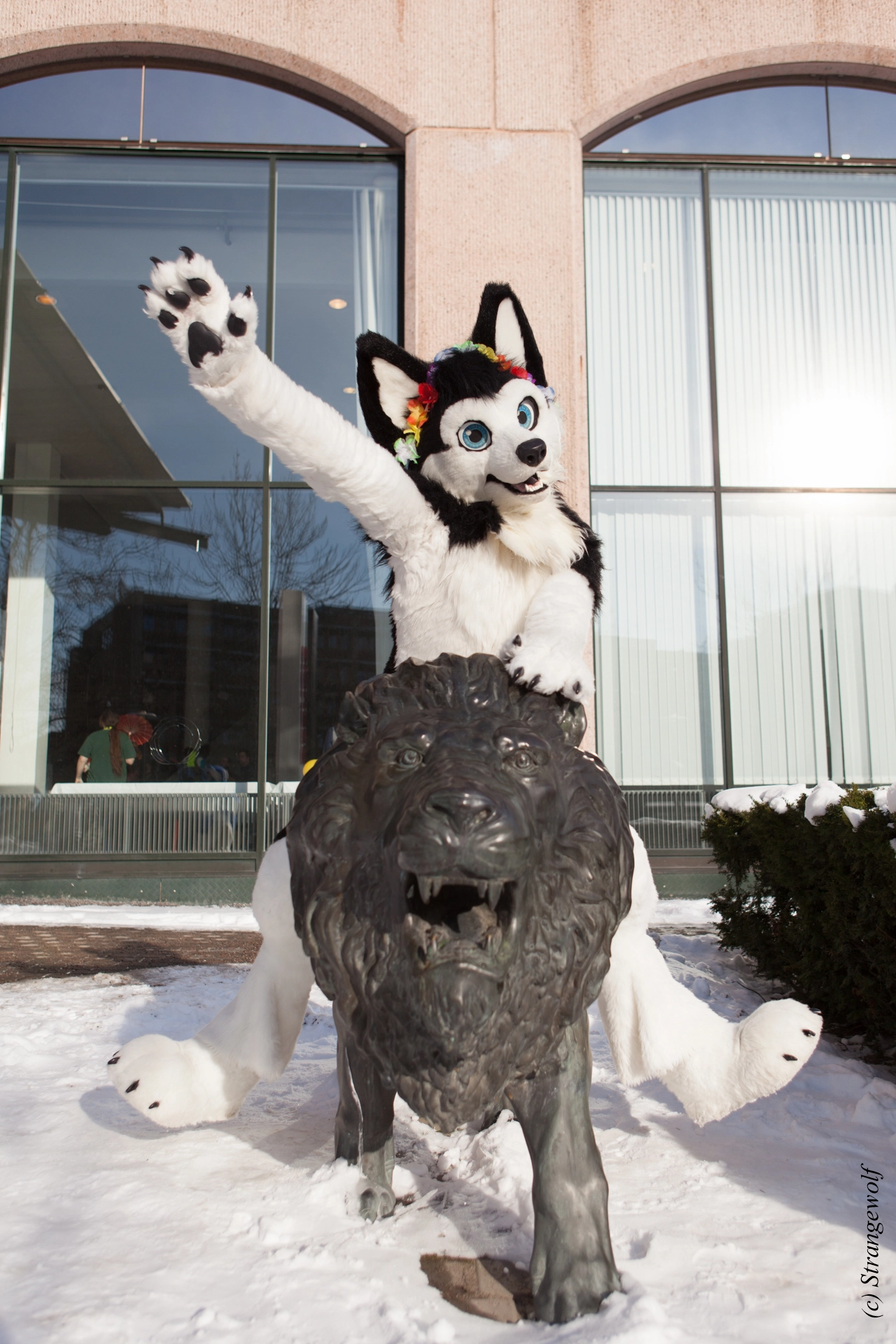 full image IMG_9775-lr19t.jpg