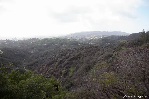 IMG_0959-lr16t.jpg of FC/FC2017/