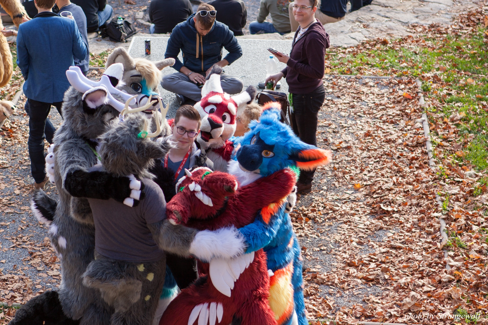 full image IMG_7831-lr19t.jpg