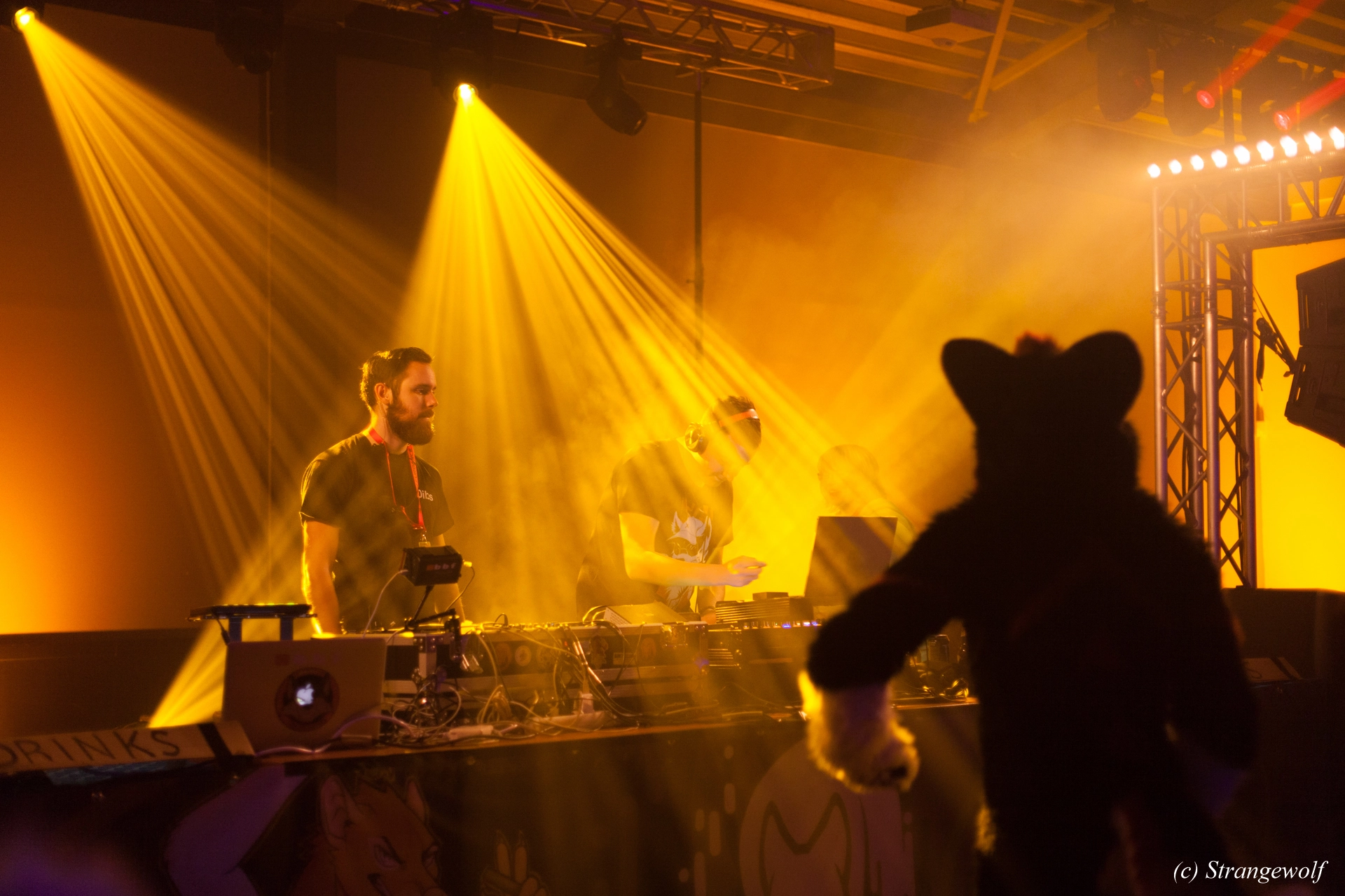 full image IMG_6906-lr19t.jpg