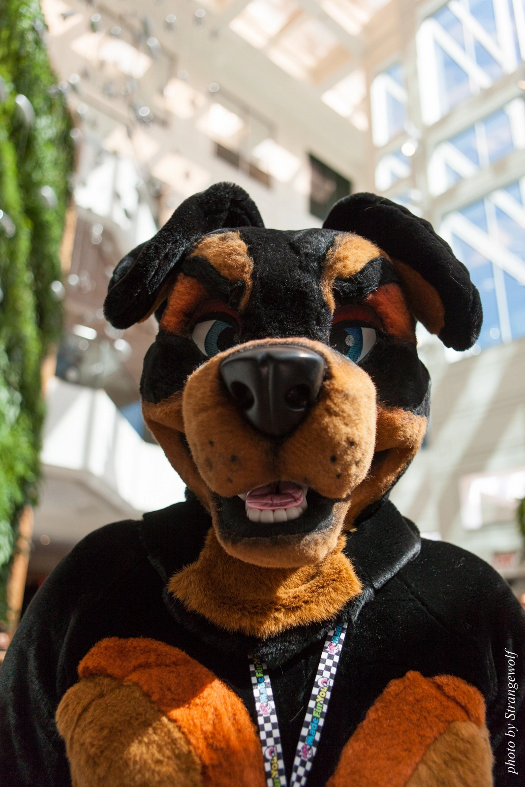 full image IMG_4946-lr16t.jpg