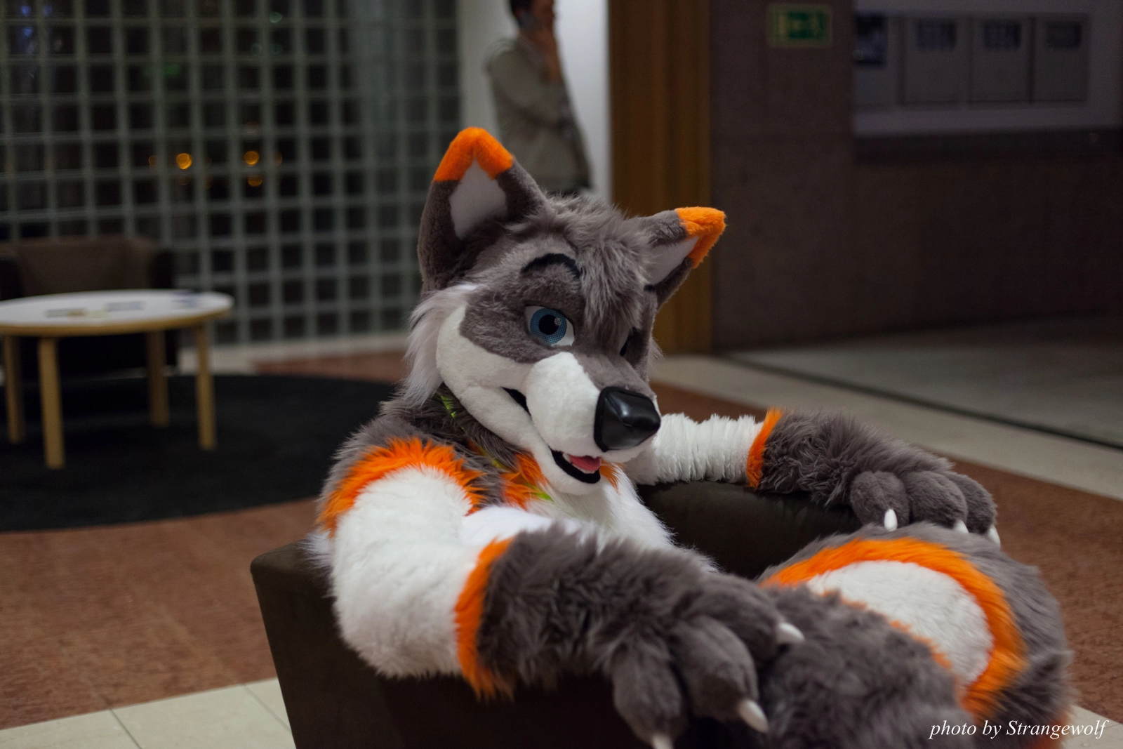 full image IMG_1605-lr16t.jpg