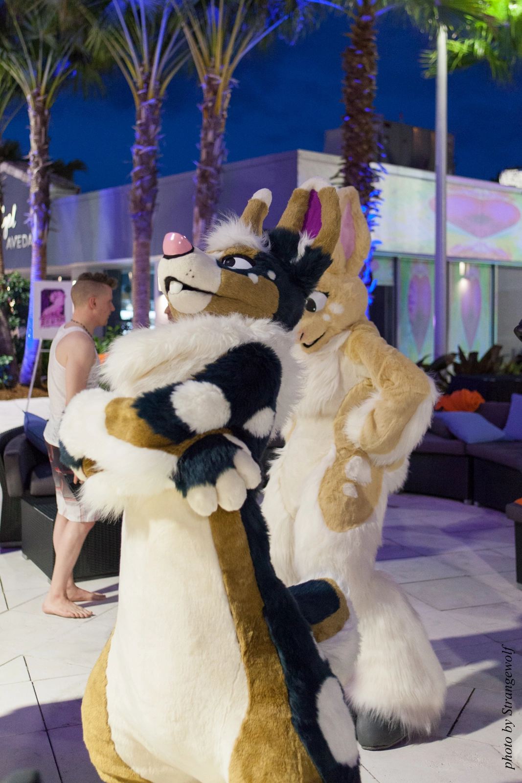 full image IMG_8499-lr16t.jpg