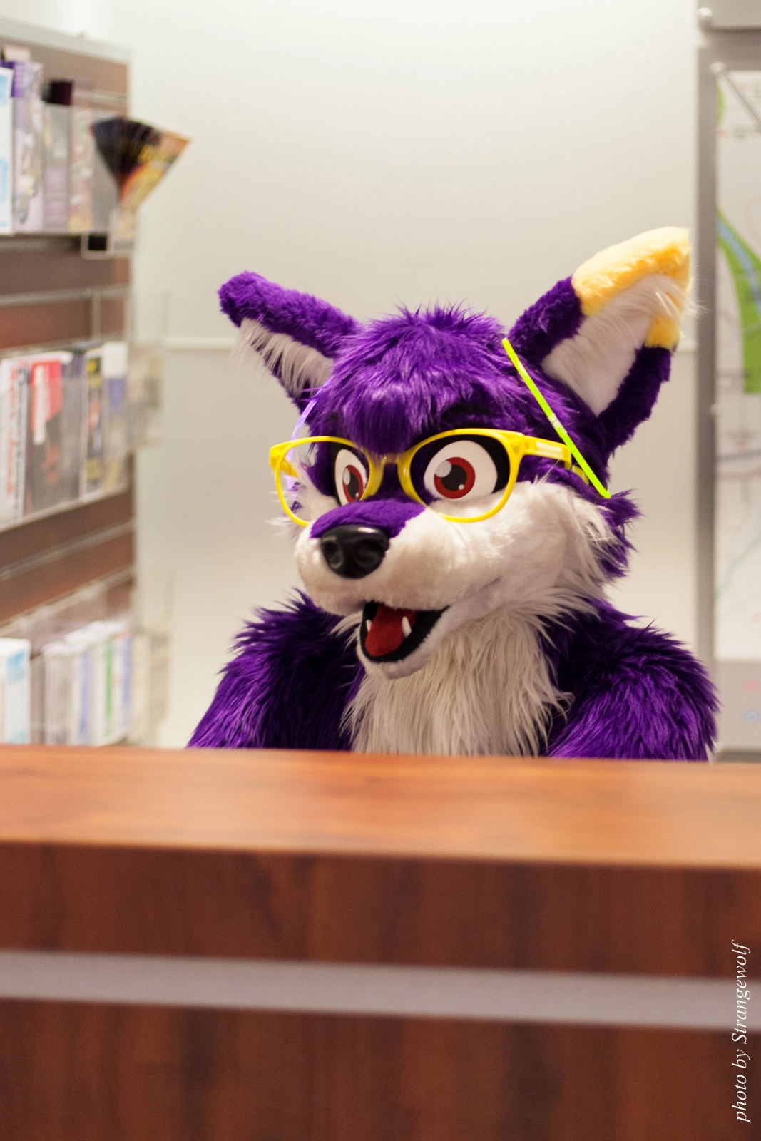 full image IMG_1372-lr16t.jpg