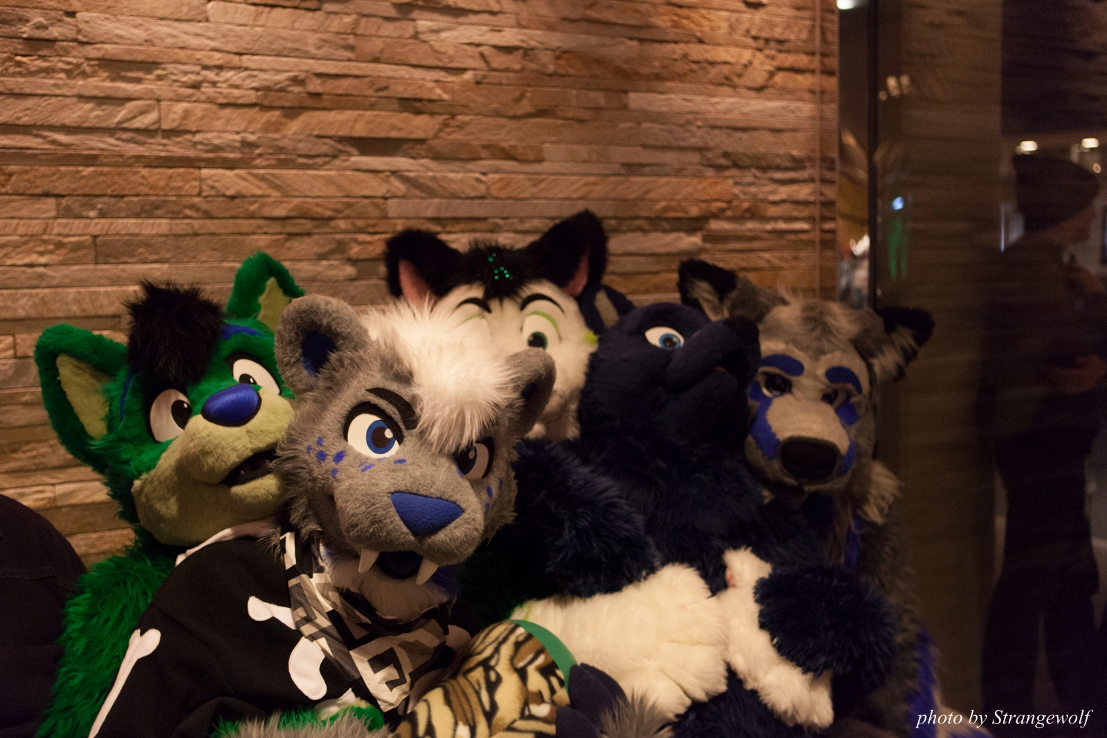 full image IMG_4375-lr16t.jpg