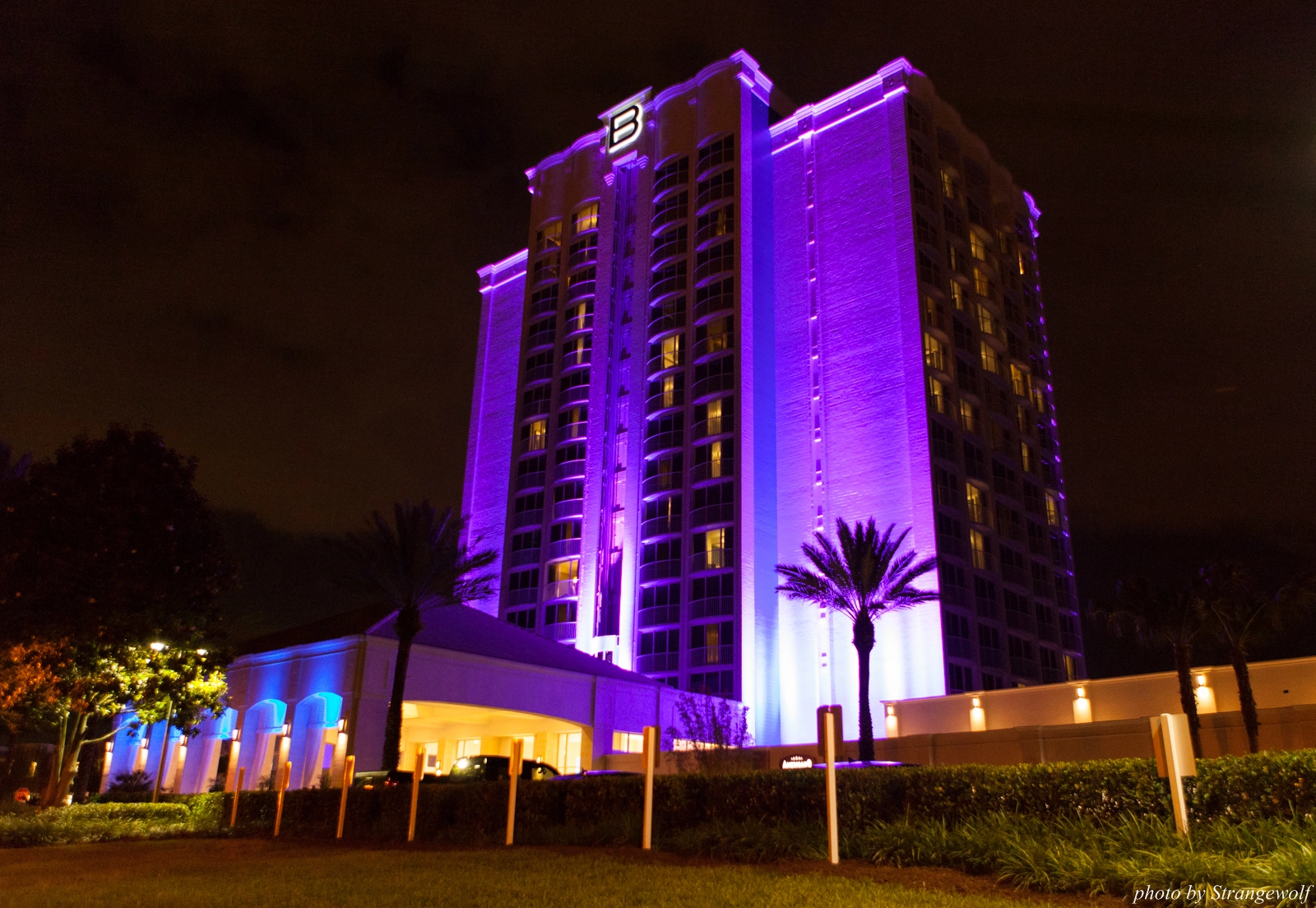 full image IMG_8011-lr16t.jpg