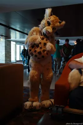 IMG_0477-lr.jpg of MFF/MFF2013/
