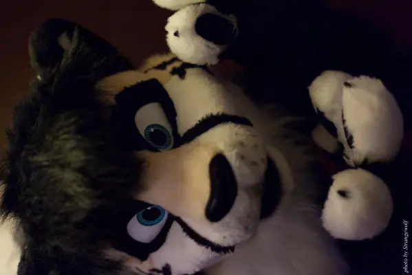 IMG_1231-lr16t.jpg of CFD/CFD15/