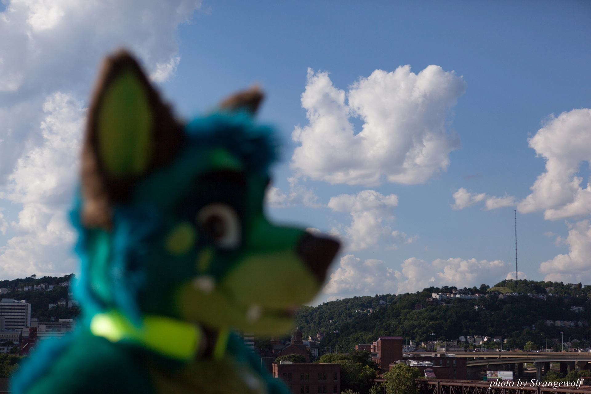 full image IMG_5115-lr19t.jpg