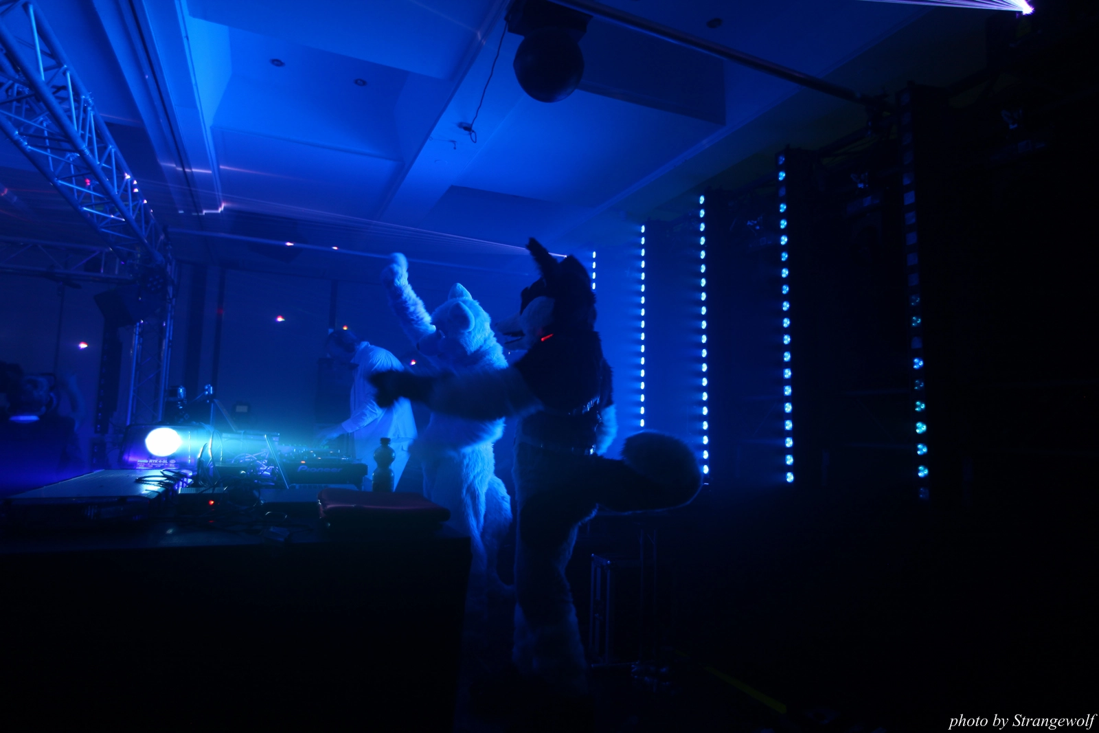 full image IMG_7707-lr16t.jpg