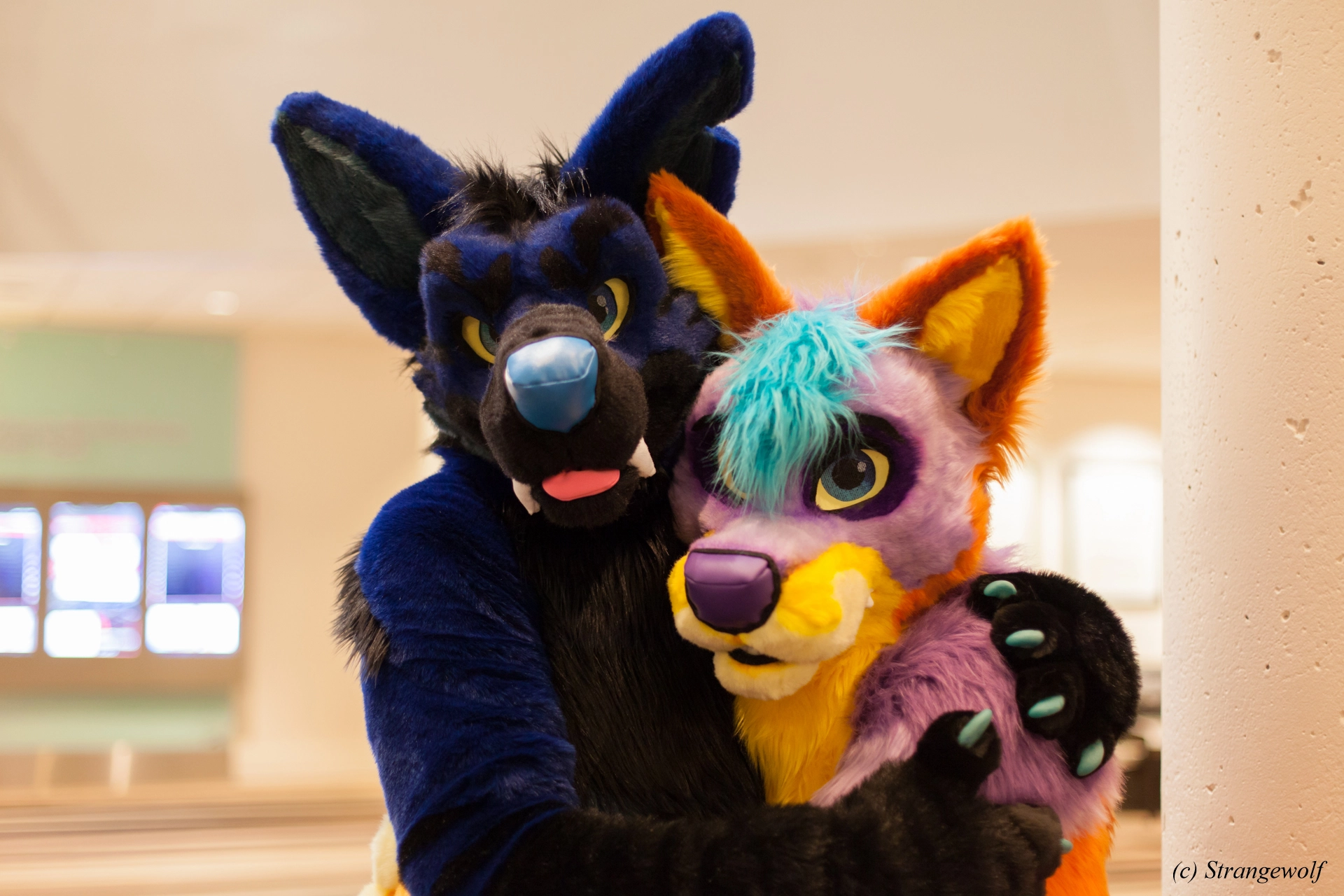 full image IMG_1805-lr19t.jpg