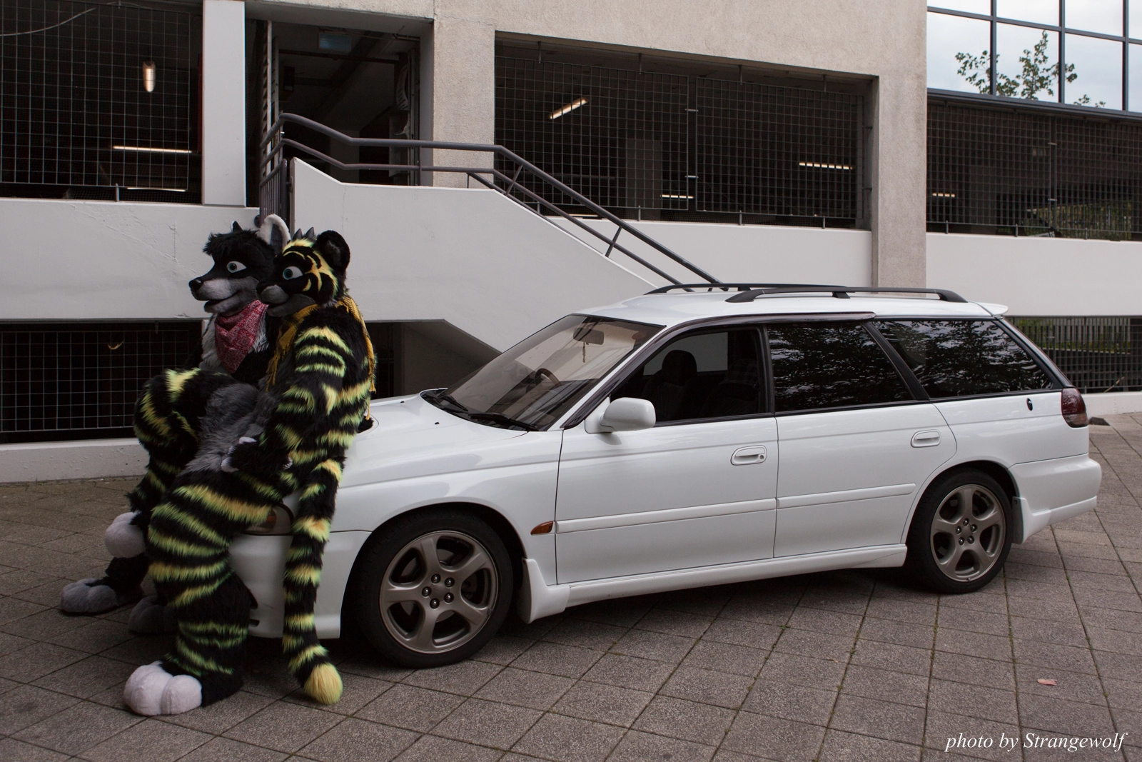 full image IMG_0120-lr16t.jpg