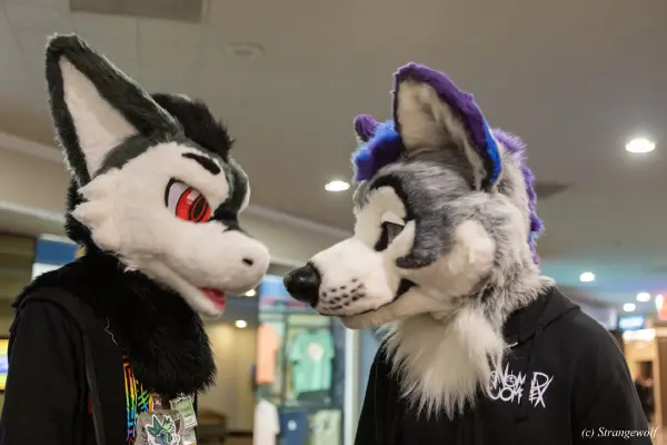 1R3A3149-lr19t.jpg of BLFC/BLFC2023/