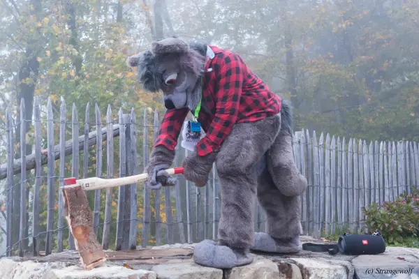 IMG_7068-lr19t.jpg of GLC/GLC2019/