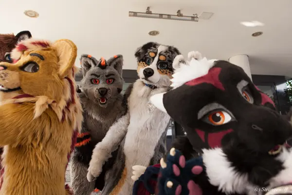 IMG_4919-lr19t.jpg of EF/EF24/Fotoshoot-Neonfurs/
